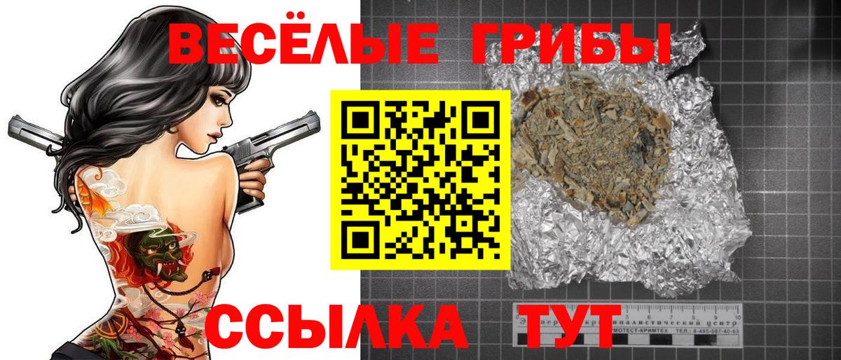 Вичуга  Псилоцибиновые грибы Psilocybe  Вход с VPN  Псилоцибиновые грибы GOLDEN TEACHER 